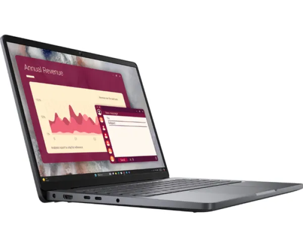 location Dell Pro 14